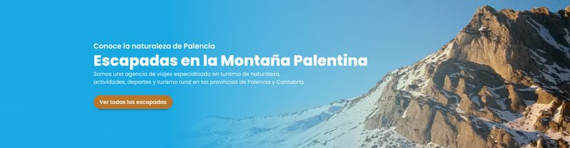 Cómo mejorar los textos de tu web con el método AIDA 1 copywritting aida (1)